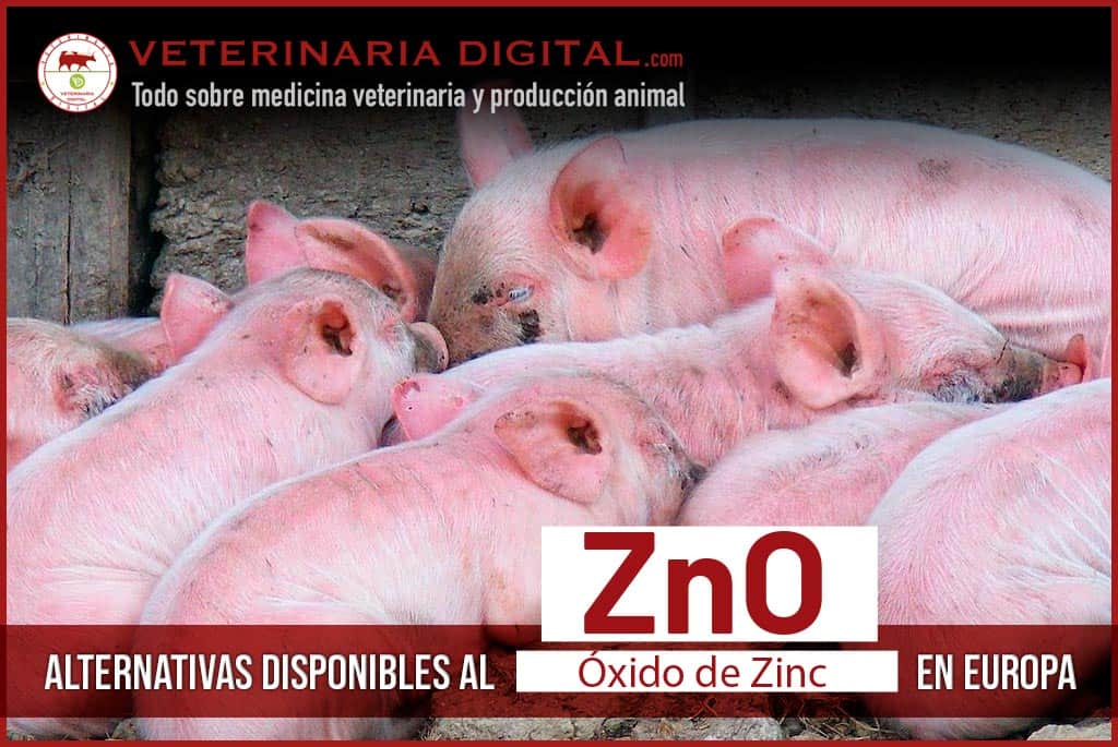 Alternativas disponibles al oxido de zinc en Europa