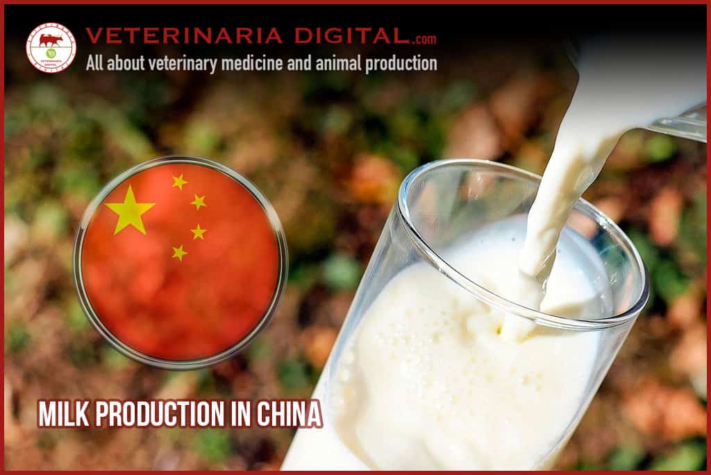 Milk Production in China