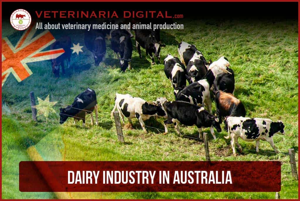 Dairy industry in Australia