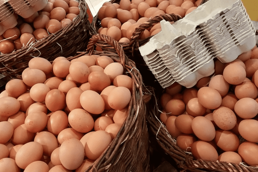 Eggs production in Greece