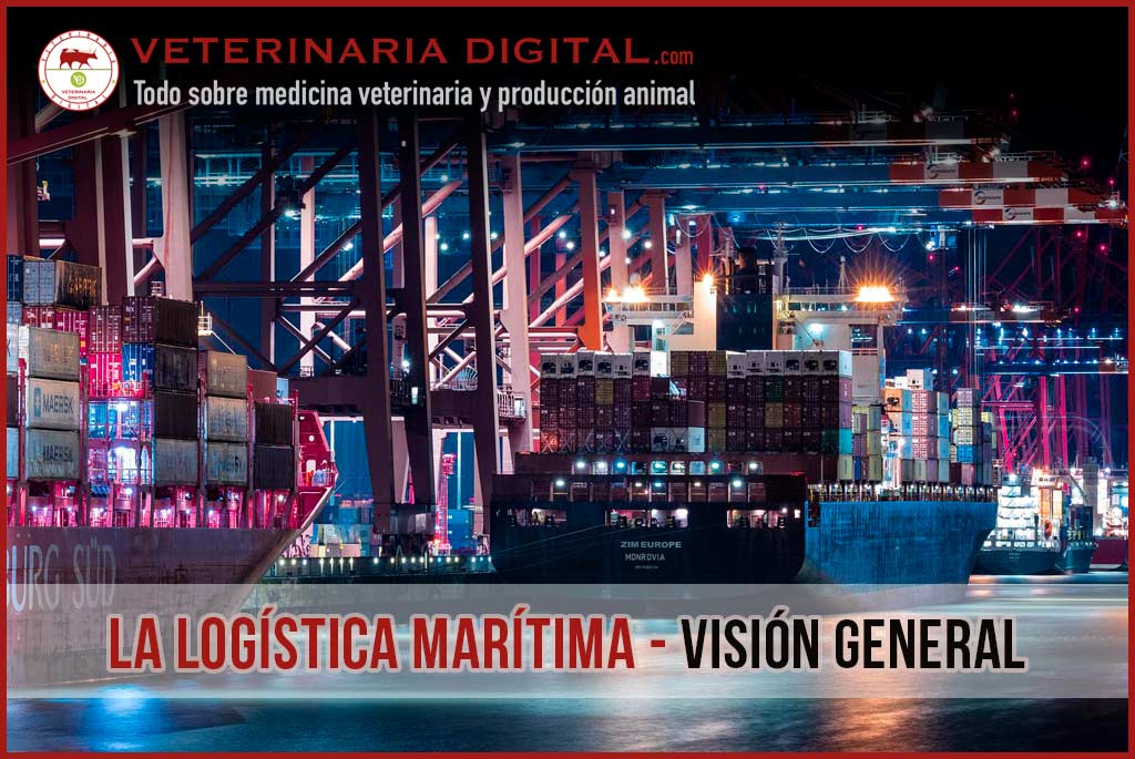 La logística marítima. Visión general