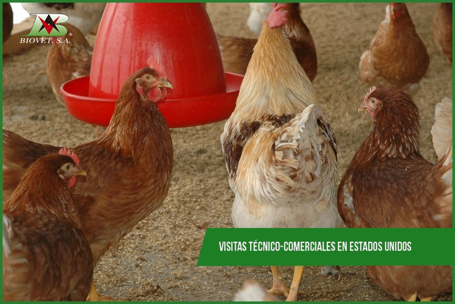 Visitas técnico-comerciales en Estados Unidos