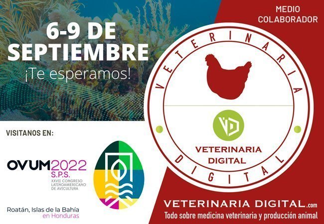 Se acerca el OVUM 2022 en Honduras: ¿Cómo participar?