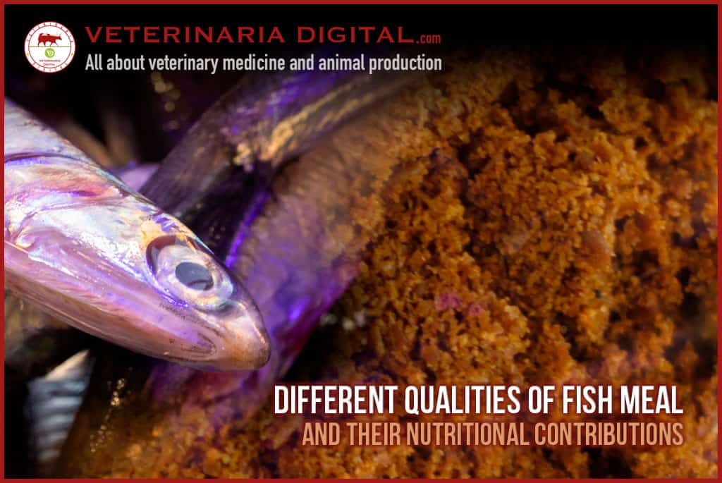 Different qualities of fish meal and their nutritional contributions