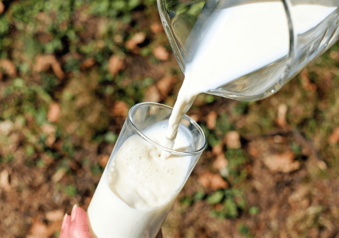 The dairy sector in Nicaragua