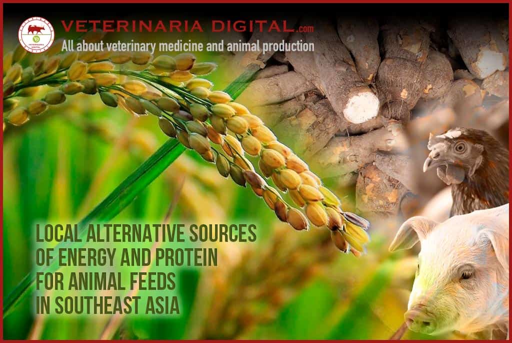 Local alternative sources of energy and protein for animal feeds in Southeast Asia