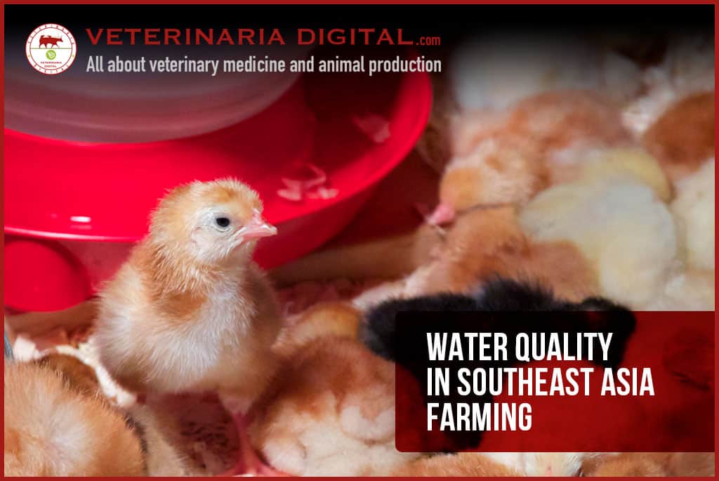 Water quality in southeast asia farming