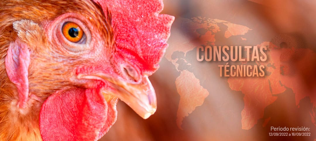 Informe de Consultas Técnicas 2022 semana 37