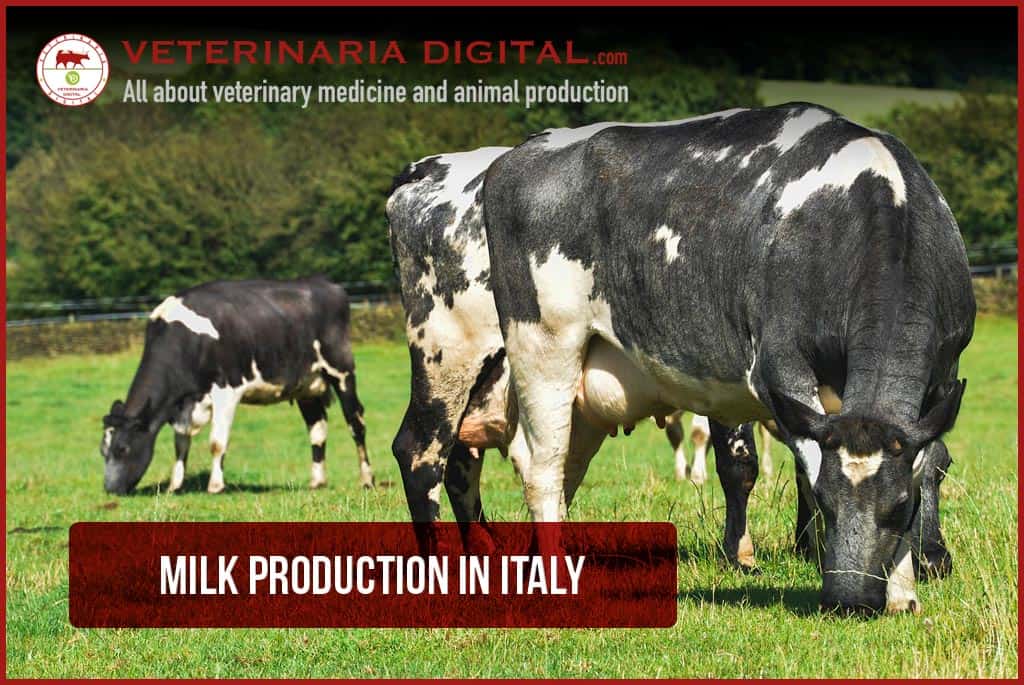 Milk production in Italy