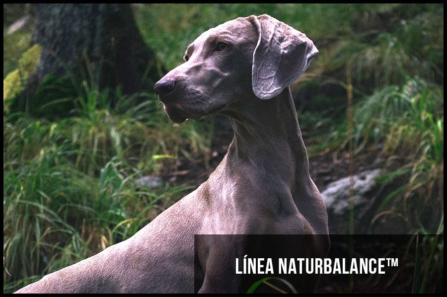 Línea NATURBALANCE™ de Biovet