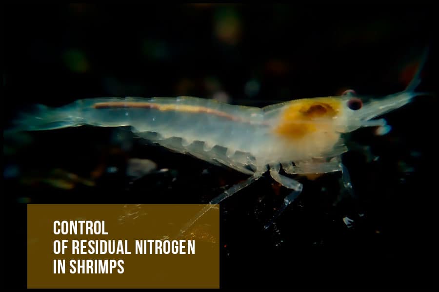 Control of residual nitrogen in shrimps