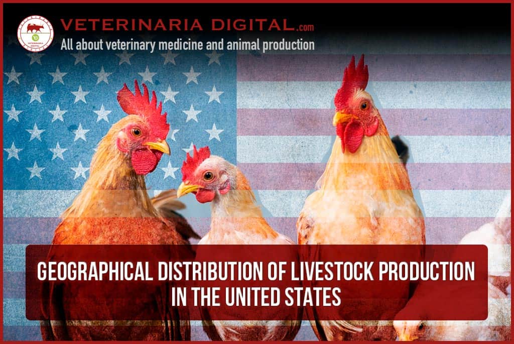 Geographical distribution of livestock production in the United States