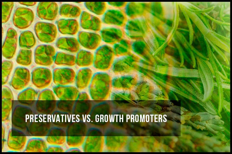 Preservatives vs. Growth Promoters