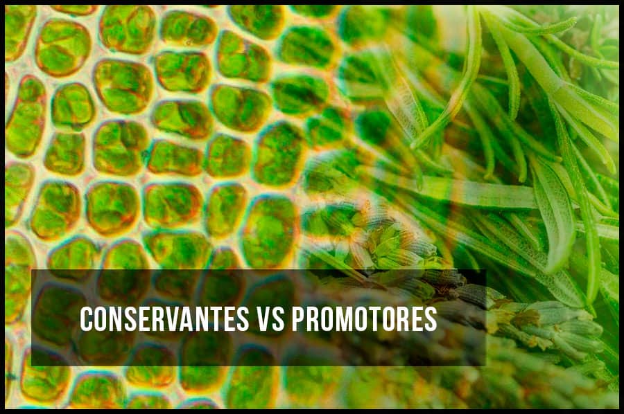 Conservantes vs Promotores