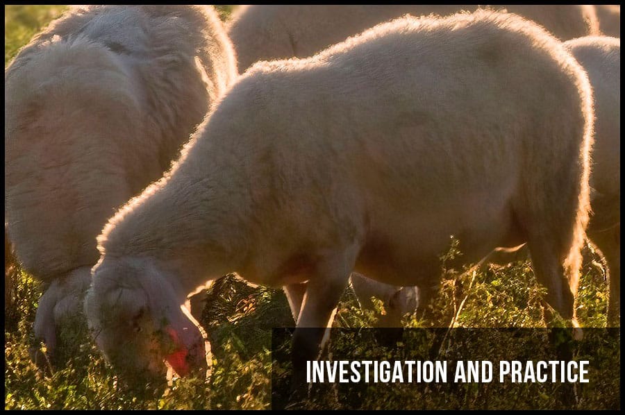 INVESTIGATION AND PRACTICE