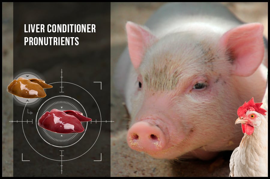Liver Conditioner Pronutrients