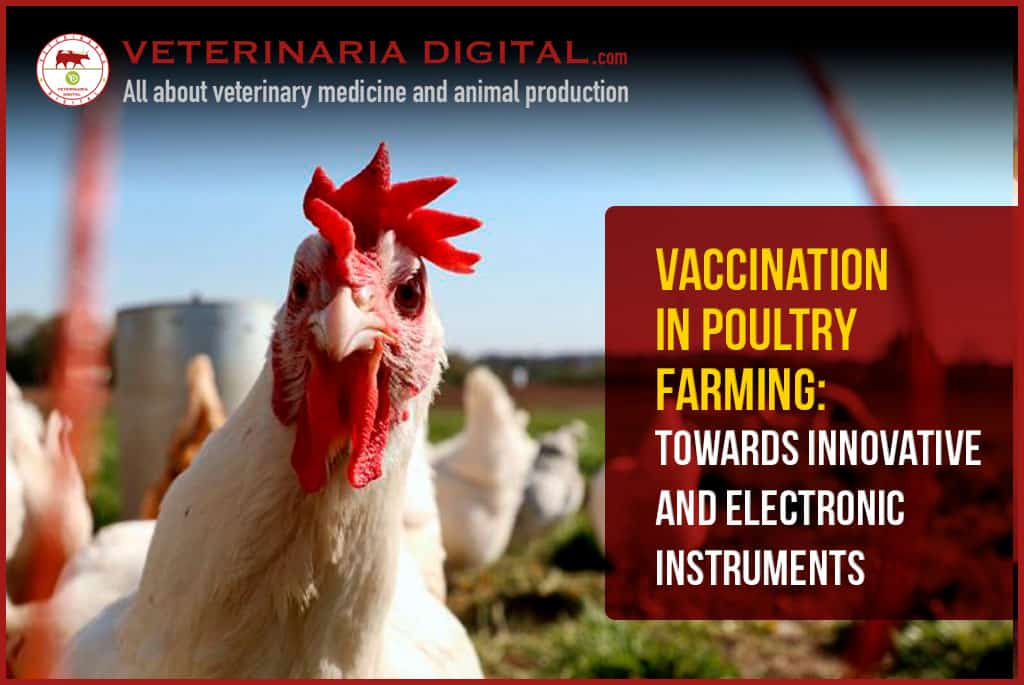 Vaccination in poultry farming: towards innovative and electronic instruments