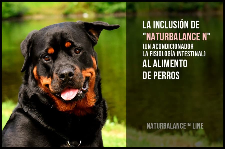 Uso de «Naturbalance N» en perros