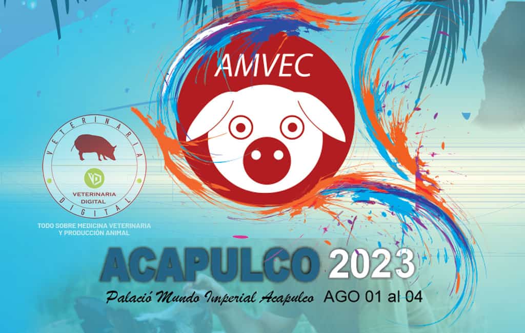 The LV National Congress AMVEC 2023 Will Center on the Challenges of the Mexican Swine Industry