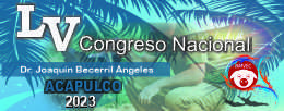 Imagen 255x100 Banner AMVEC 2023 Mobile