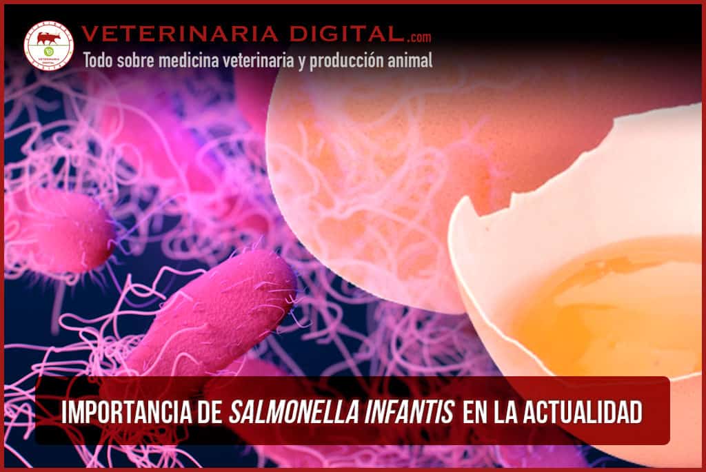 Importancia de Salmonella infantis en la actualidad