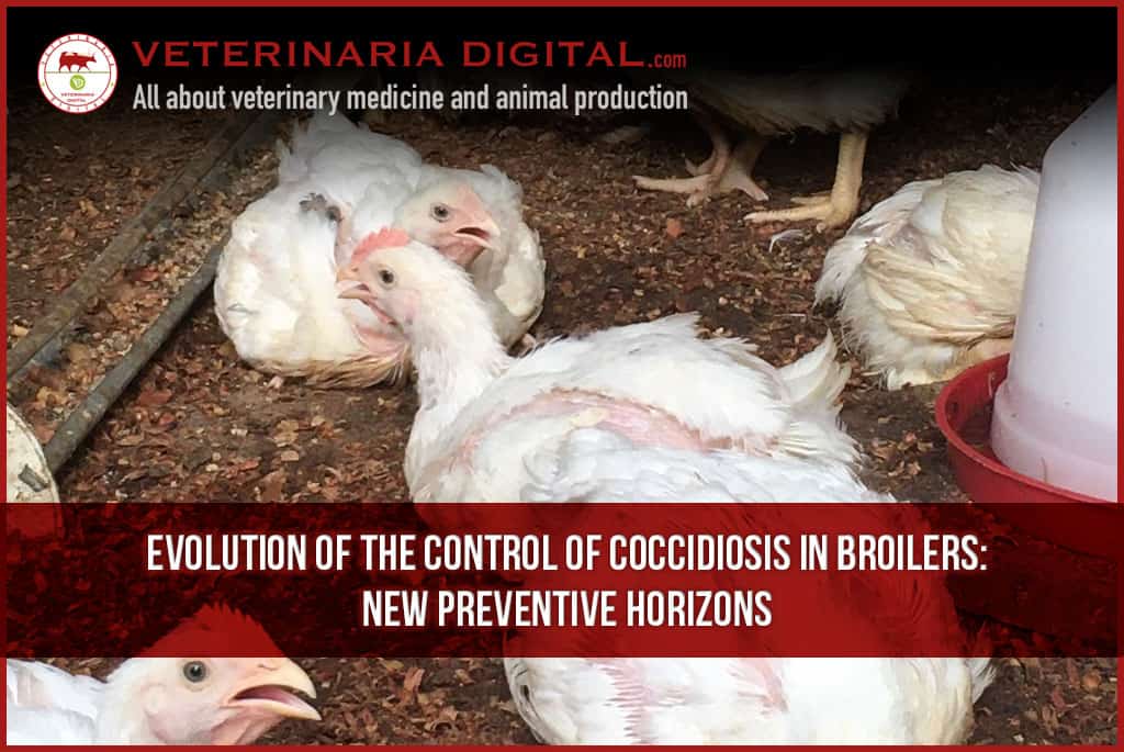 Evolution of the control of Coccidiosis in broilers: New preventive horizons