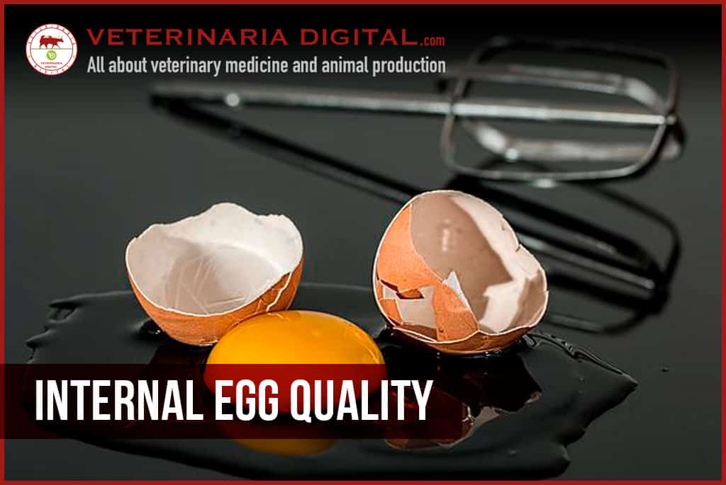 Internal egg quality