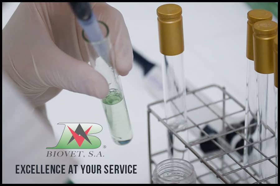 Excellence at your service